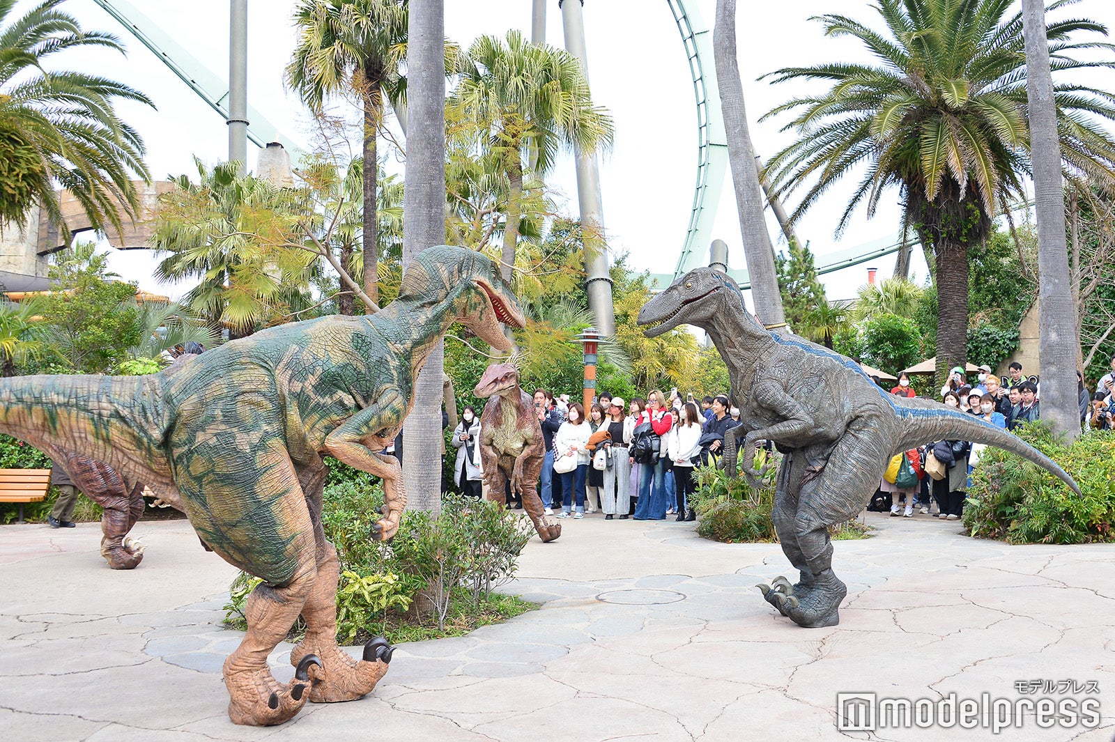 （C）モデルプレス