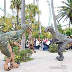 (C)モデルプレス