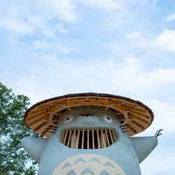 どんどこ森(C)Studio Ghibli