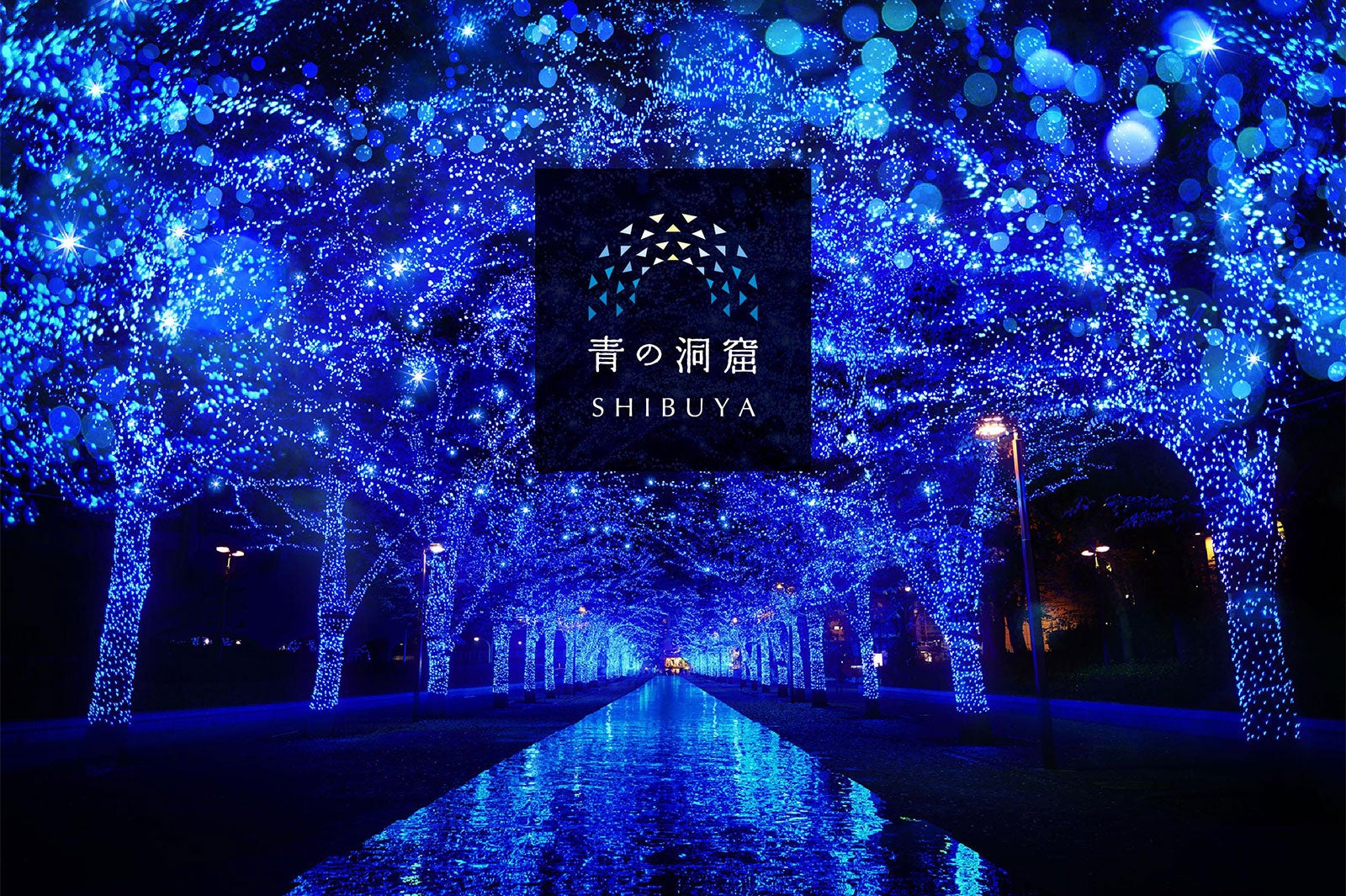 青の洞窟 SHIBUYA／画像提供：日清フーズ