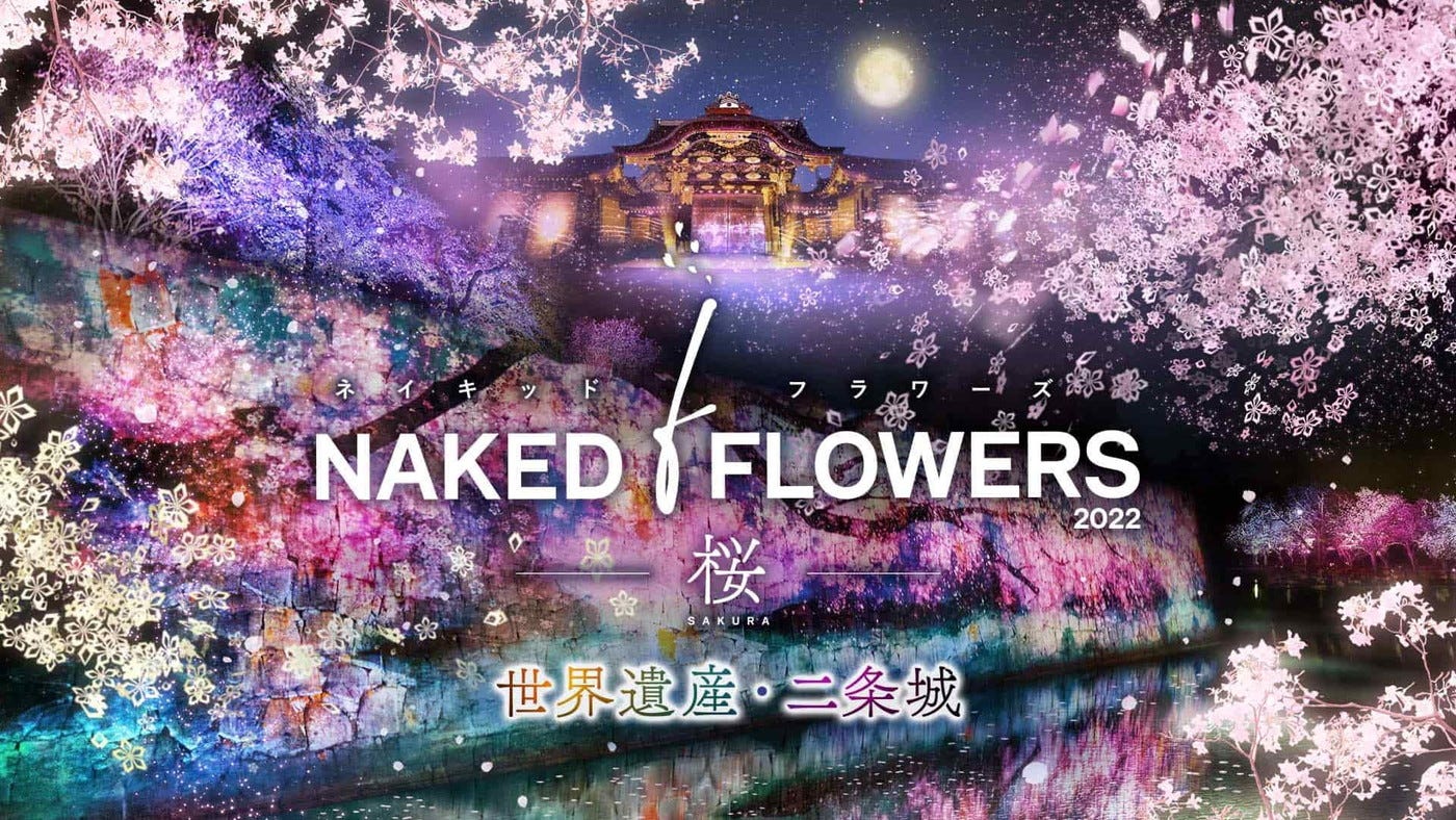 京都・二条城で「NAKED FLOWERS 2022」過去最大級の桜アートが咲き誇る