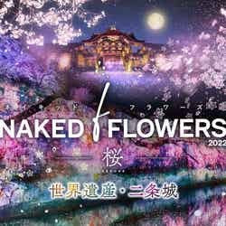 NAKED FLOWERS 2022 -桜- 世界遺産・二条城/画像提供:ネイキッド