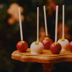 サンタクロースのホリデースイーツビュッフェ~聖夜の甘い贈り物~/提供画像