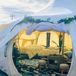 LOTUS NIGHT/画像提供:ブッキングリゾート