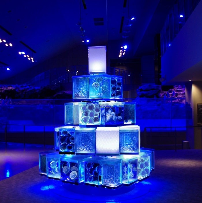 東京クラゲツリー／画像提供：オリックス