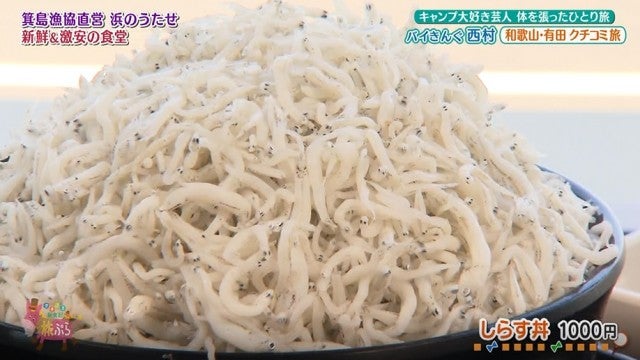 地元の人がおすすめ！海も山もみかんも楽しめる♡