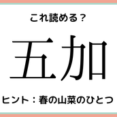 涎 って何て読む 読めたらスゴイ 一文字の難読漢字 4選 モデルプレス 涎 って何て読む 読めたらスゴイ 一文字の難読漢字 4選 モデルプレス