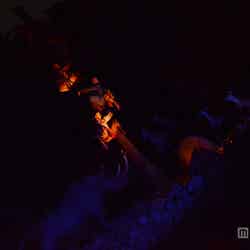 月光に照らされる探検隊／「ジャングルクルーズ：ワイルドライフ・エクスペディション」