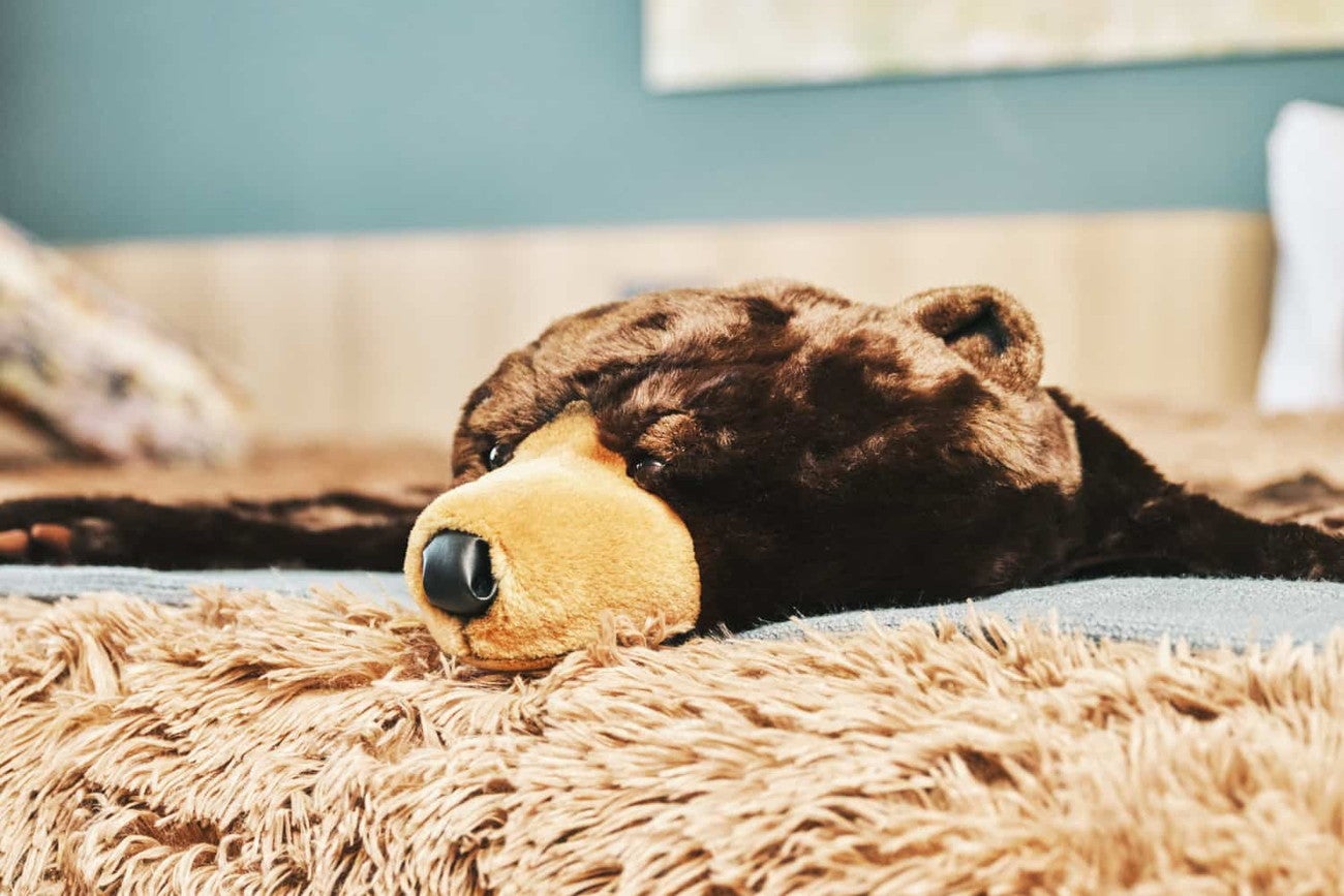 えぞひぐまルーム／画像提供：星野リゾート