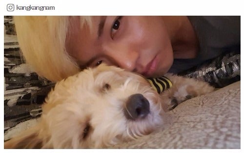 ペットの「カンブク」と2ショット／KangNam instagramより