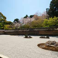 「龍安寺」石庭/photo by Naoki Ishii