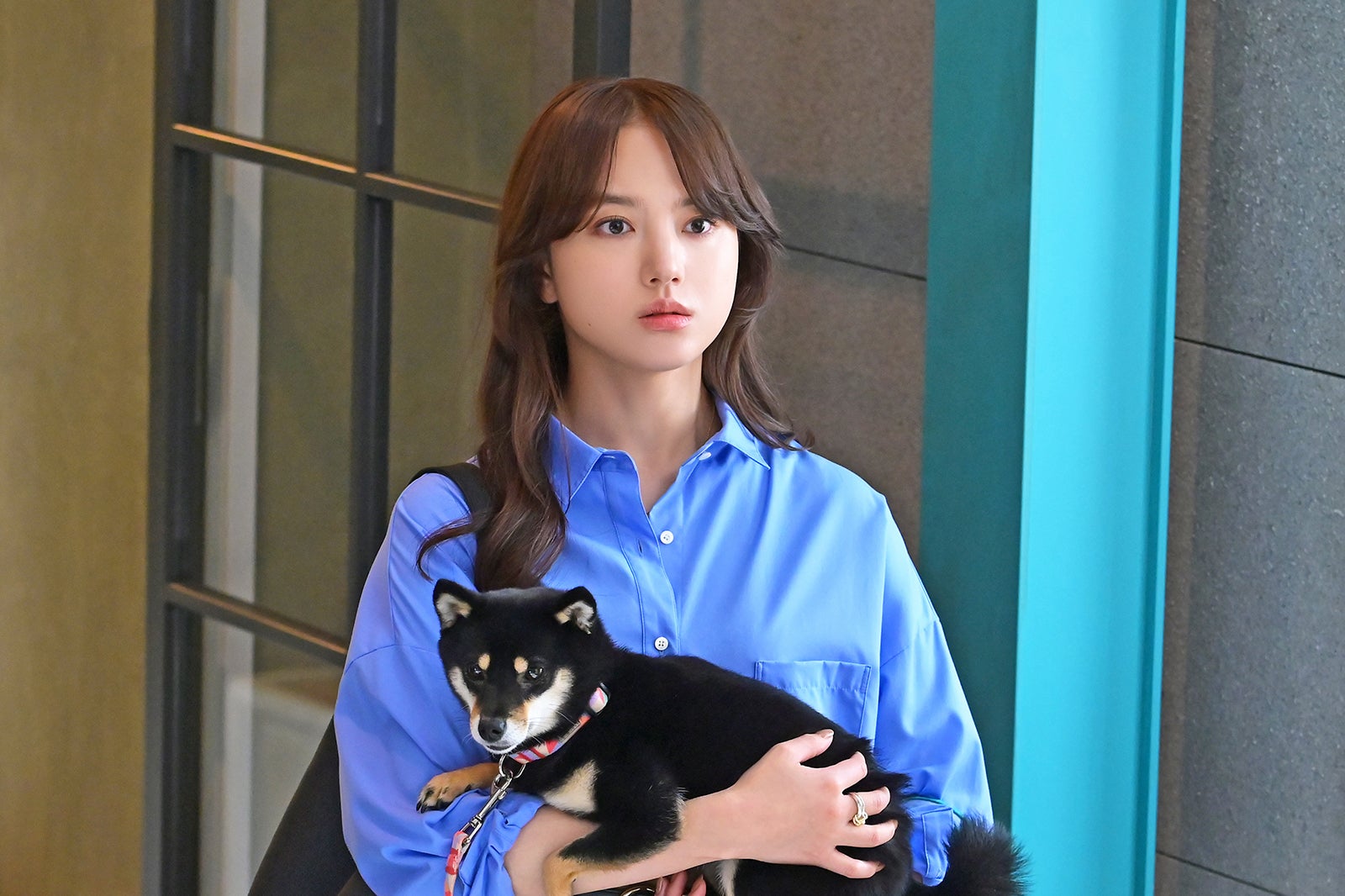 清原果耶「初恋DOGs」第4話（C）TBS