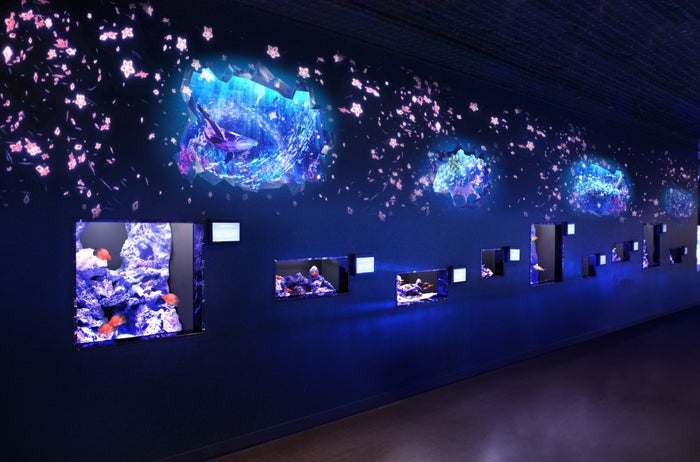 「特別展」※イメージ／画像提供：横浜八景島