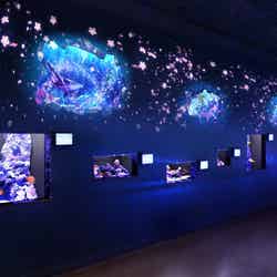 「特別展」※イメージ/画像提供:横浜八景島