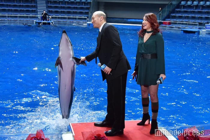 関口メンディー(中央)、イルカと握手 (C)モデルプレス