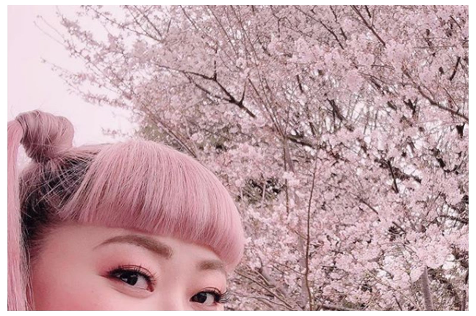 渡辺直美“平成最後の桜”の前でフォトジェニックな姿公開「髪色とあってる」「桜もヘアーも満開」