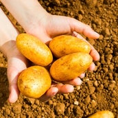 作り置きもバッチリ なす の大量消費レシピ集 子供も喜ぶ美味しい料理をご紹介 モデルプレス 作り置きもバッチリ なす の大量消費レシピ集 子供も喜ぶ美味しい料理をご紹介 モデルプレス