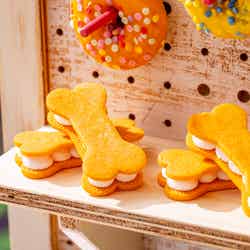 Snoopy’s Summer Camp/提供画像