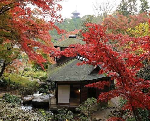 「横浜」に詳しい旅のプロが感動した! 秋の行楽に本気で推したい名所3選【2025年最新】