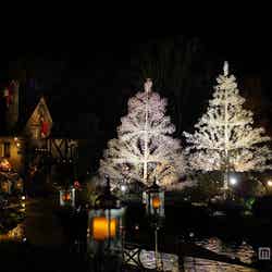 トワイライト・キャンドル/画像提供:小田急箱根グループ