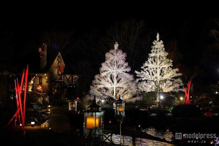 冬の箱根でしか見られない豪華クリスマスツリー3選 女子旅プレス
