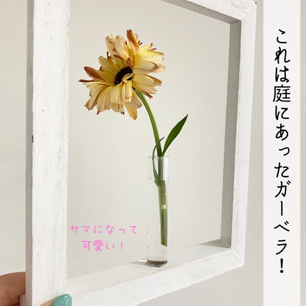 セリアさん最高じゃん 100円には見えないおしゃれ雑貨 これは必見です モデルプレス