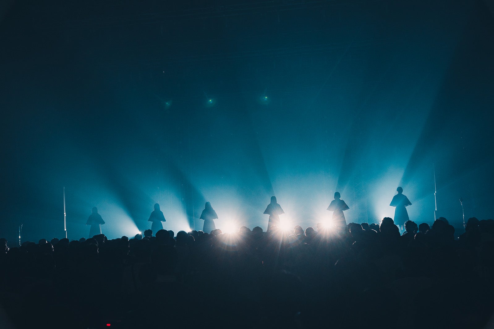 かすみ草とステラ／撮影：真島洸 （提供写真）