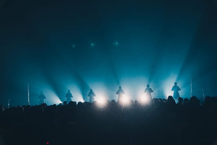 かすみ草とステラ/撮影:真島洸 (提供写真)