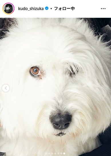 工藤静香Instagramより