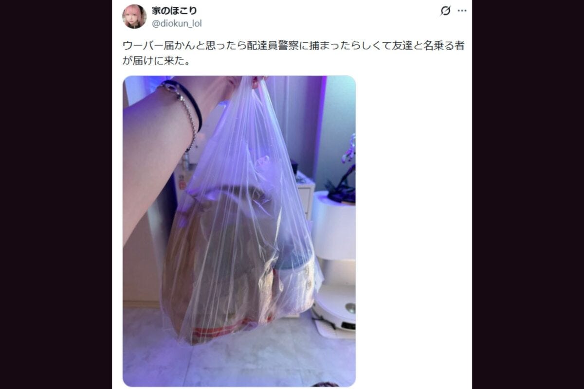 家のほこり氏X