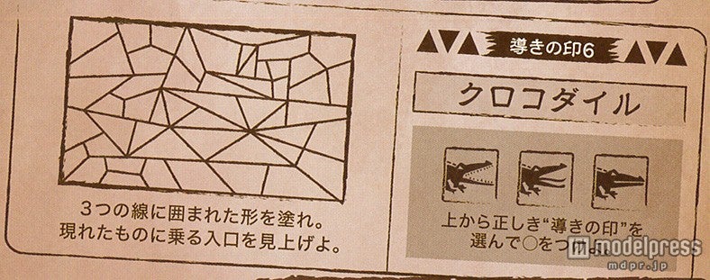 導きの印6「クロコダイル」