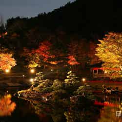 「修善寺虹の郷」【モデルプレス】