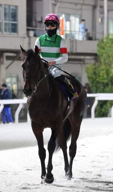 【地方競馬】羽田盃 1番人気のロックターミガンは直線で伸びを欠いて2着