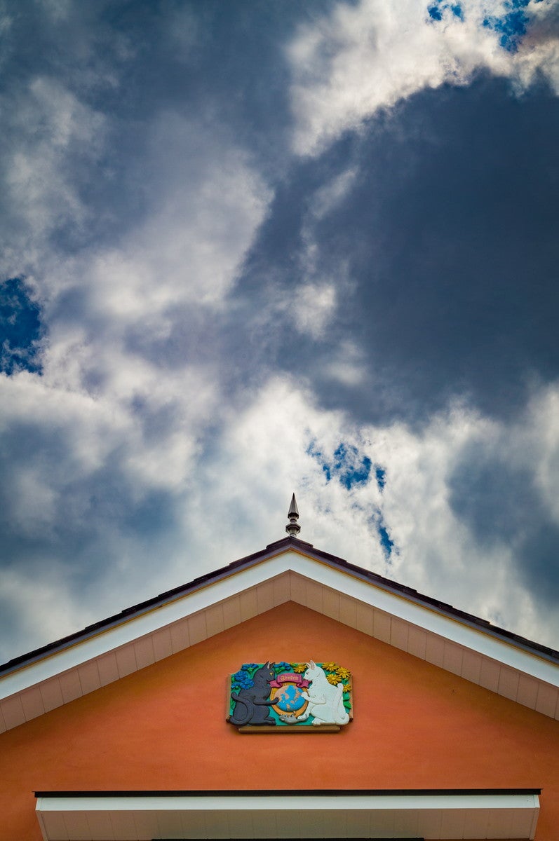 地球屋（C）Studio Ghibli