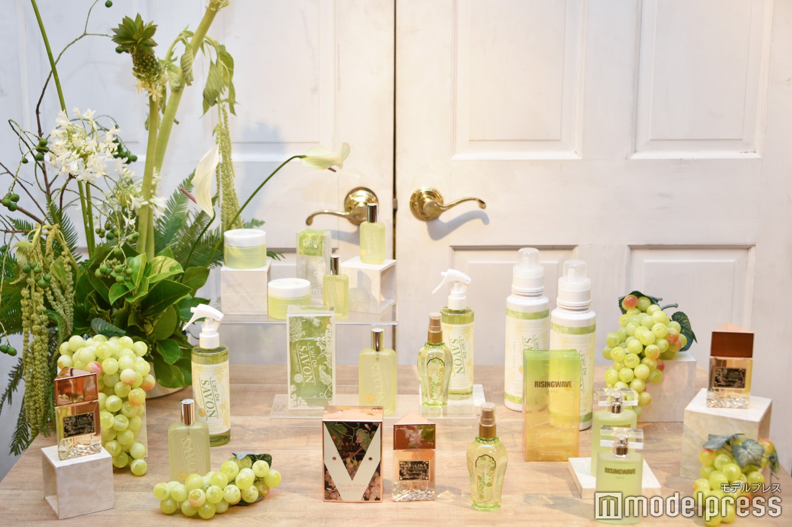 フィッツコーポレーション新商品（C）モデルプレス