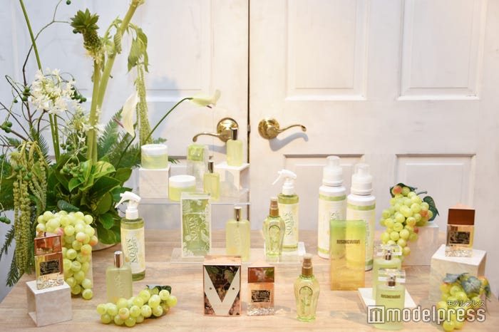 フィッツコーポレーション新商品(C)モデルプレス