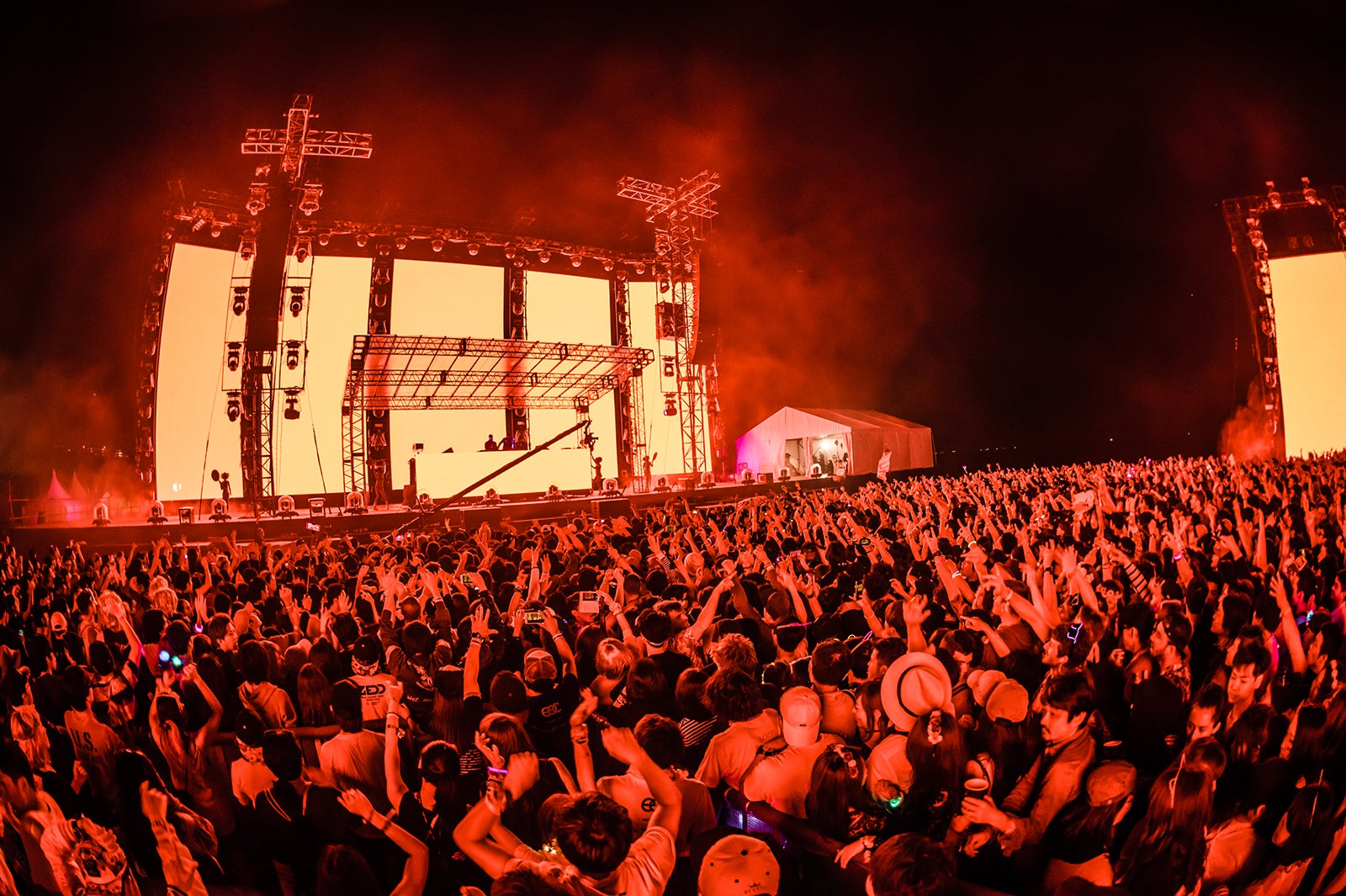 （C）The-Holy-Mountain-for-Insomniac-5