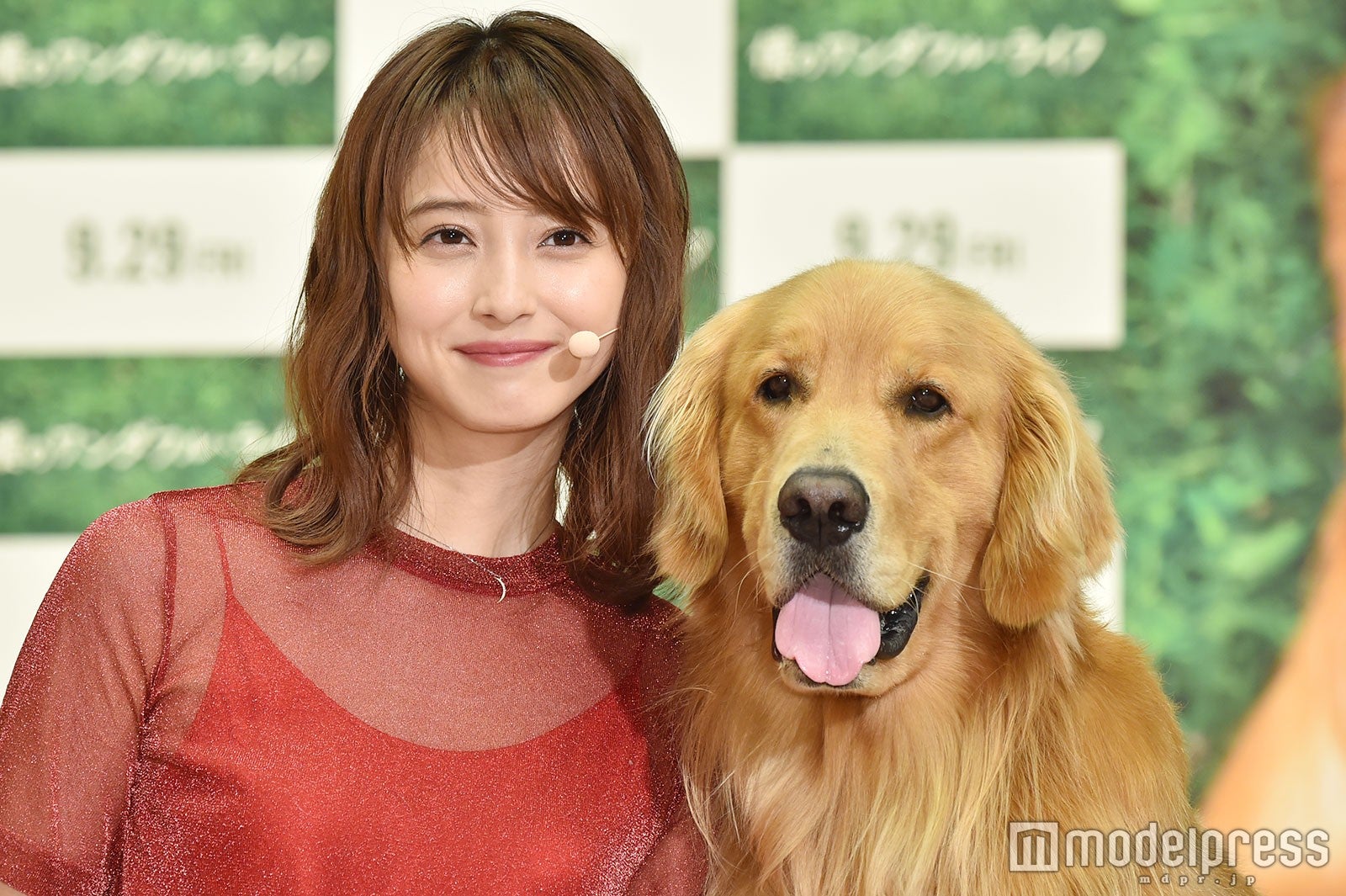 佐々木希 運命の出会いを語る 愛犬 マロン と登場 僕のワンダフル ライフ モデルプレス