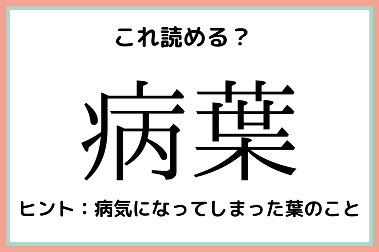 病葉 びょうは 読めたらスゴイ 難読漢字 4選 モデルプレス
