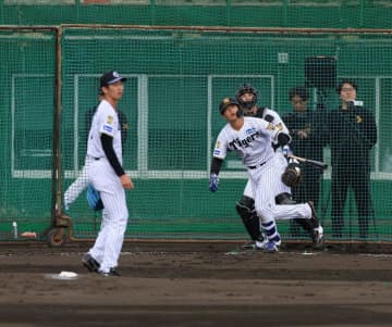 阪神2軍 町田がシート打撃で今朝丸から本塁打 初球を捉え左中間スタンドへ豪快な一発