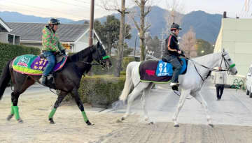 【ドバイWCデー諸競走】杉山晴勢2頭ガイアフォース＆ルガルが国内最終追い切り 杉山晴師「2頭ともいつも通り」