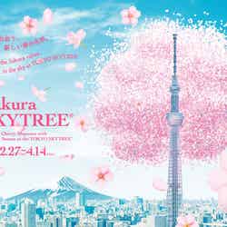 キービジュアル(C)TOKYO-SKYTREE