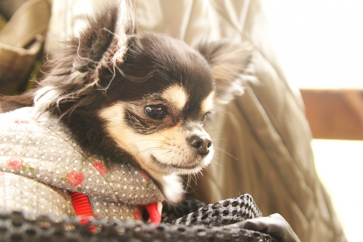 プライベートオーシャンヴィラ -ヴィラ 藍水-／画像提供：マリントピアリゾート