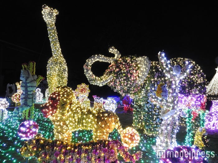 0万球15色のカラフルな輝き 東武動物公園 ウィンターイルミネーション で冬デートは決まり 女子旅プレス