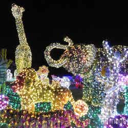 フラワートピアリー/画像提供:東武動物公園