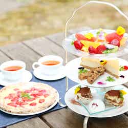 CONO foresta/画像提供:倉敷観光コンベンションビューロー