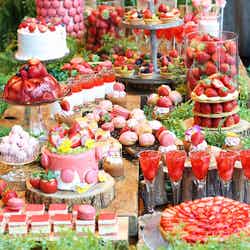 Strawberry Fair~ストリベリーブッフェ~/画像提供:株式会社ワイズテーブルコーポレーション
