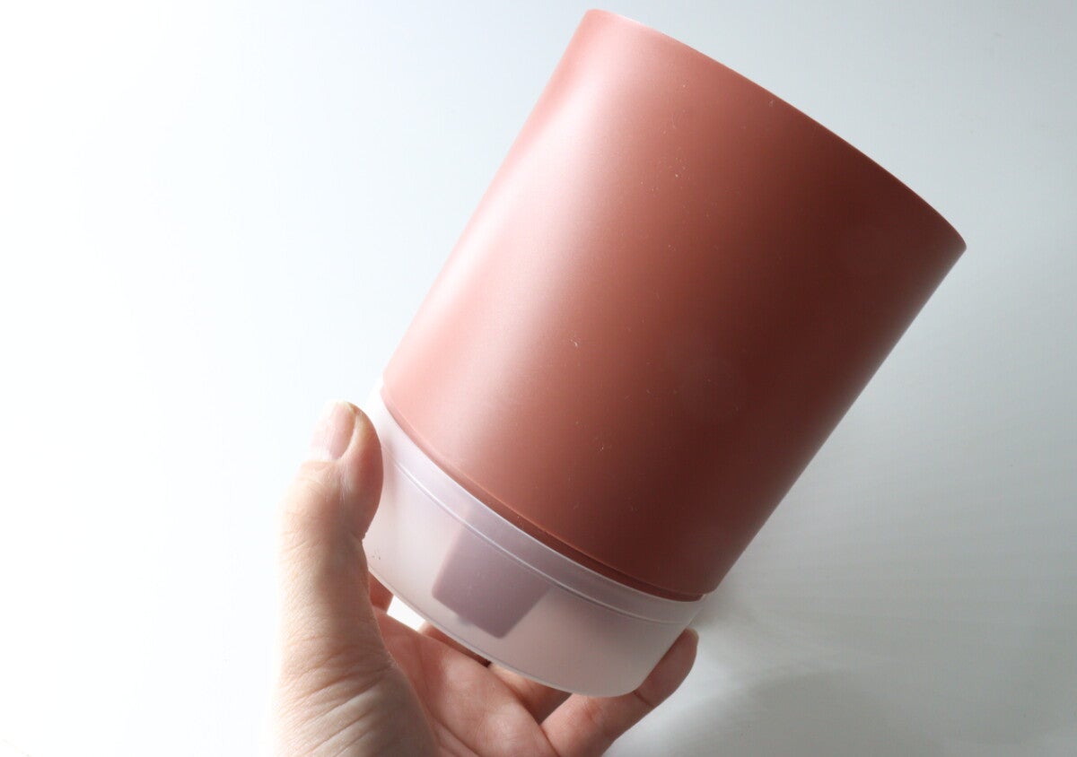 300円で良いの？「スーパーでも見たことないよ…」珍しいアレを育てるキット