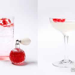 (左から)ジンベースのカクテルに香水のようなバラのリキュールで香りづけ「ベティーロワイヤル」¥1,300、ピーチカクテルにザクロとバラの口紅が香る「ルージュメッセージ」¥1,400