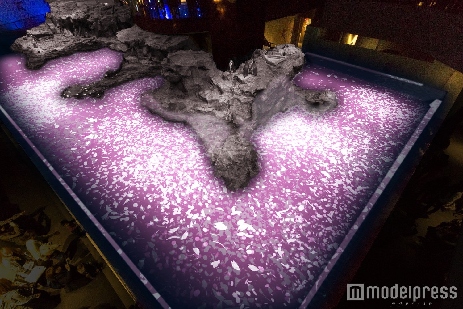 「ペンギンピクニック」イメージ／画像提供：すみだ水族館